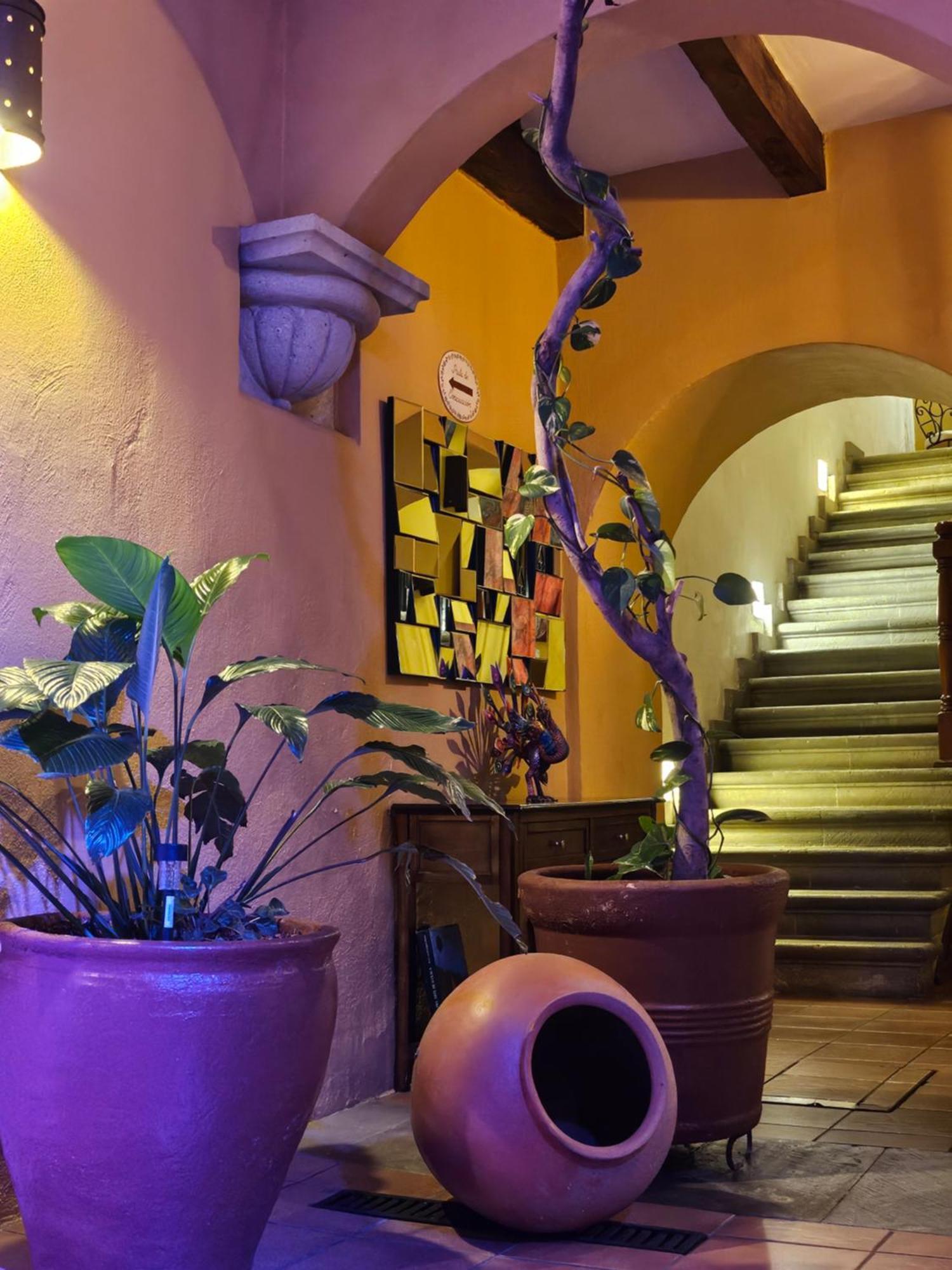 Hotel Casa Divina Oaxaca Extérieur photo